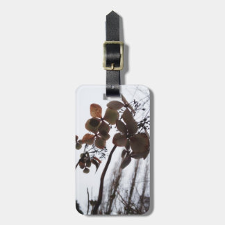 Contemporary Luggage Tag