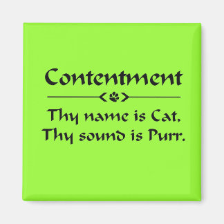 Contentment thy name is cat magnet