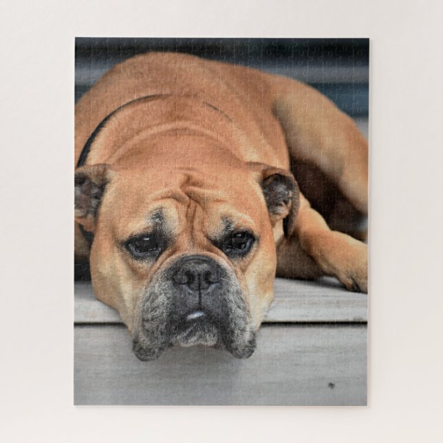 Continental Bulldog Customizable Jigsaw Puzzle (Vertical)