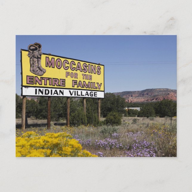 Continental Divide, New Mexico,  Route 66 Postcard (Front)