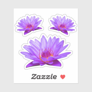 Contour Lys d'eau violet Sticker en vinyle