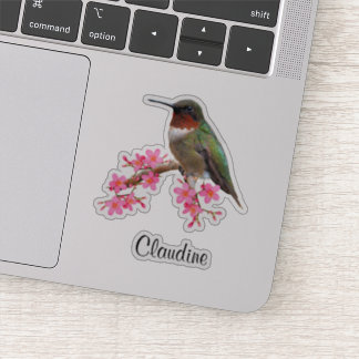 Contour Pink Flowers & Hummingbird Vinyl Stickers