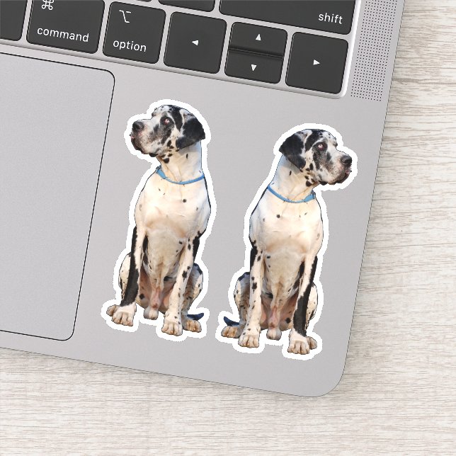 Contour Sticker Picture Great Dane (Detail)