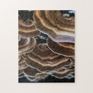 Contours — Banded Bracket Fungi Abstract Jigsaw Puzzle