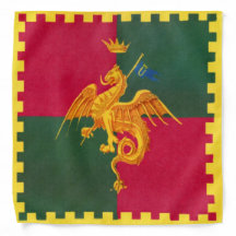 Contrada del Drago (Dragon) Palio di Siena Bandana