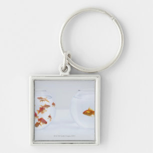 Contrast of  many goldfish in fishbowl and keychain