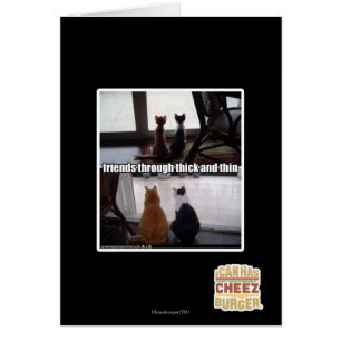 Contre vent et marée