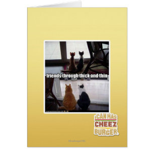 Contre vent et marée