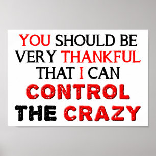 Control the Crazy Funny Poster