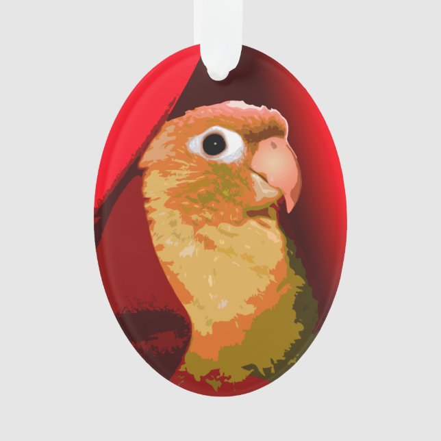 Conure à joue verte Perruche Câlins Oiseau de comp (devant)