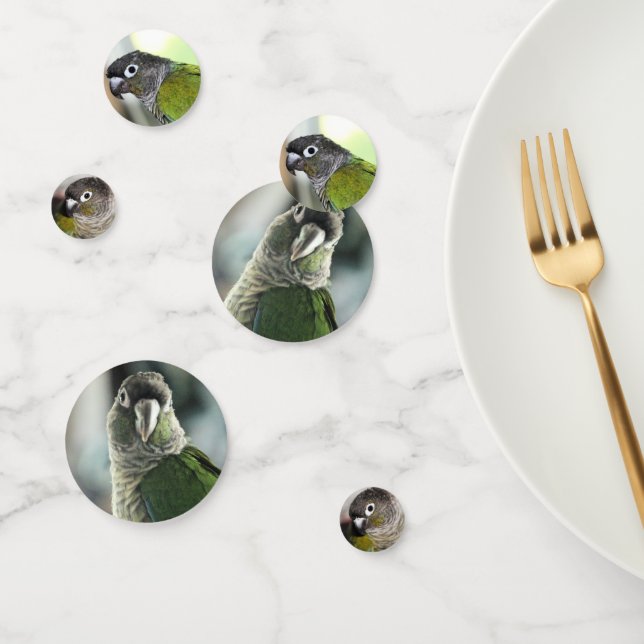 Conure Confetti (Group)