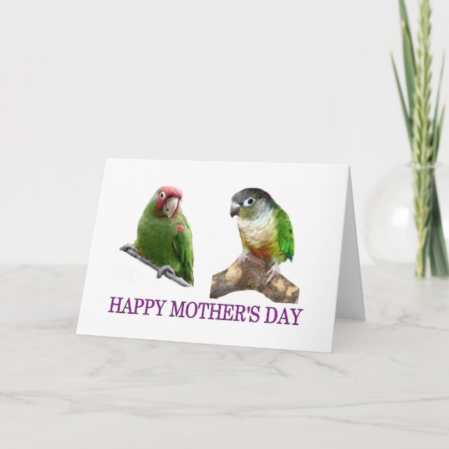 Conure Mother's Day Card (Front)