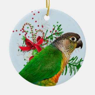 Conure Warms the Holidays Ceramic Ornament