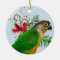 Conure Warms the Holidays