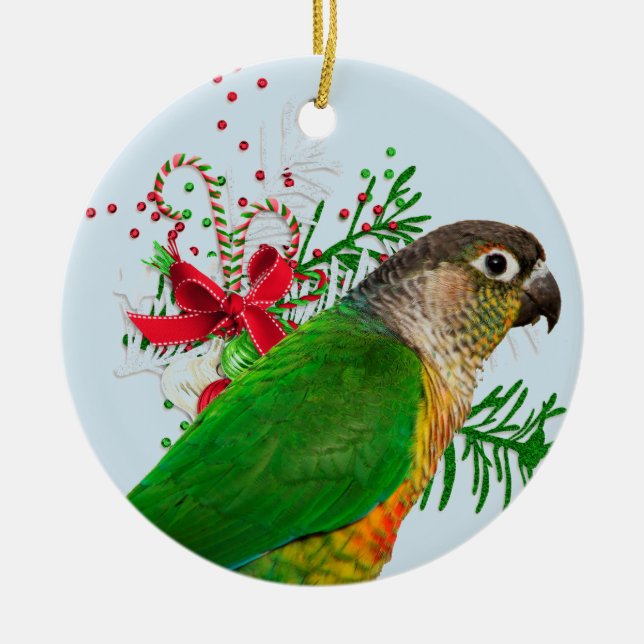 Conure Warms the Holidays Ceramic Ornament (Front)