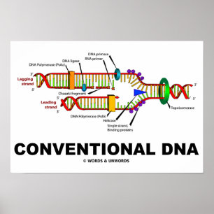 Conventional DNA Molecular Biology Humour Poster