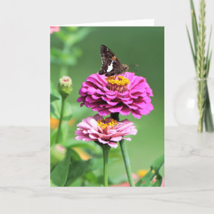 Conversation avec une carte de note papillon