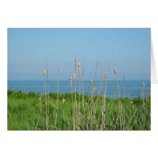 Conversations par la mer