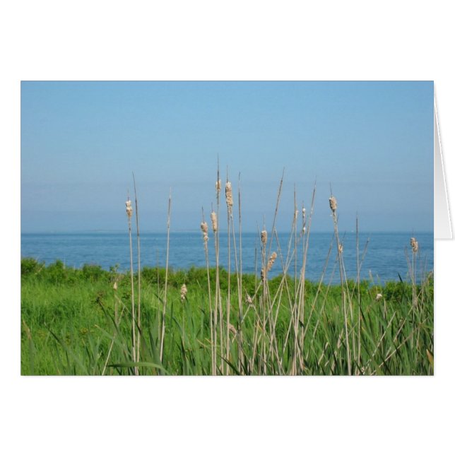 Conversations par la mer (Devant Horizontal)