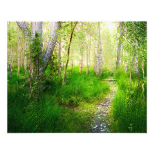 Convict Lake Aspen Wall Art   Eastern Sierra