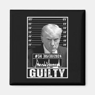 Conviction Verdict Donald Trump Mug Shot Jail Pict Magnet