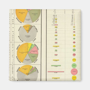 Convicts in Penitentiaries by State Magnet