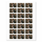 Convient parfait Elégant & moderne photo mariage