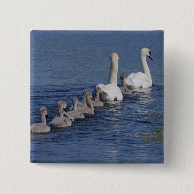 Convoy of Swans 2 Inch Square Button (Front)