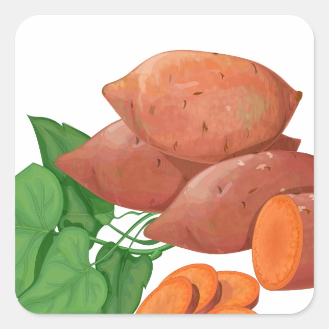 Cook a Sweet Potato Day - Appreciation Day Square Sticker (Front)