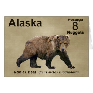 Cook bear