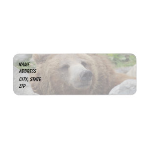 Cook bear