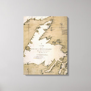 COOK: NEWFOUNDLAND, 1763 CANVAS PRINT