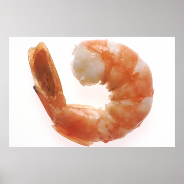 Cooked Shrimp Poster (Front)