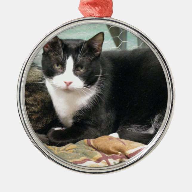 Cookie Metal Ornament (Front)