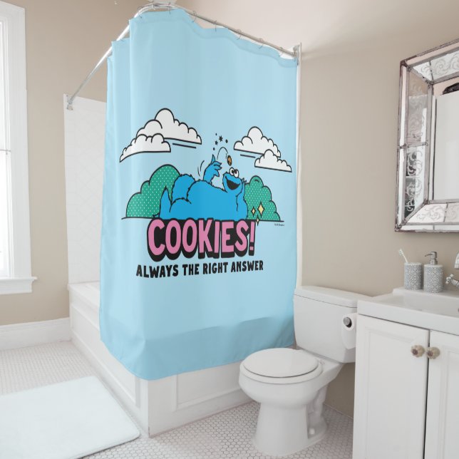 Cookie Monster | Cookies Always the Right Answer (In Situ)