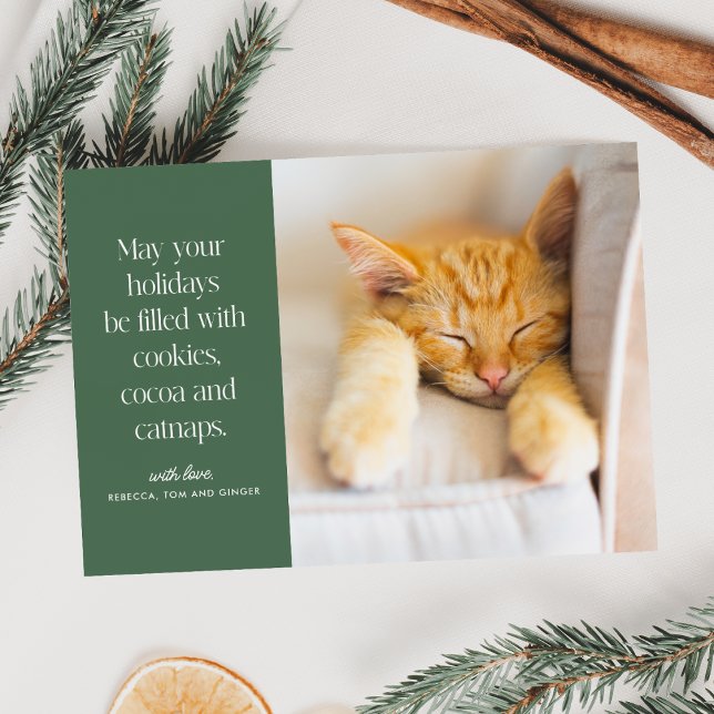 Cookies Cocoa Catnaps Pet  Holiday Card (Creator Uploaded)