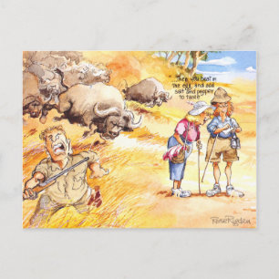 Cooking advises postcard