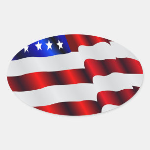Cool America, US/USA, SAD flag, Sochi games Oval Sticker