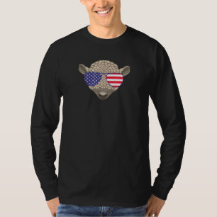 Cool Armadillo Wearing Usa Flag Sunglasses Us Amer T-Shirt