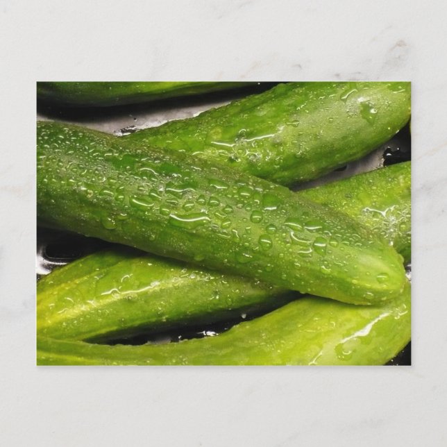 cool As A cucumber Postcard (Front)