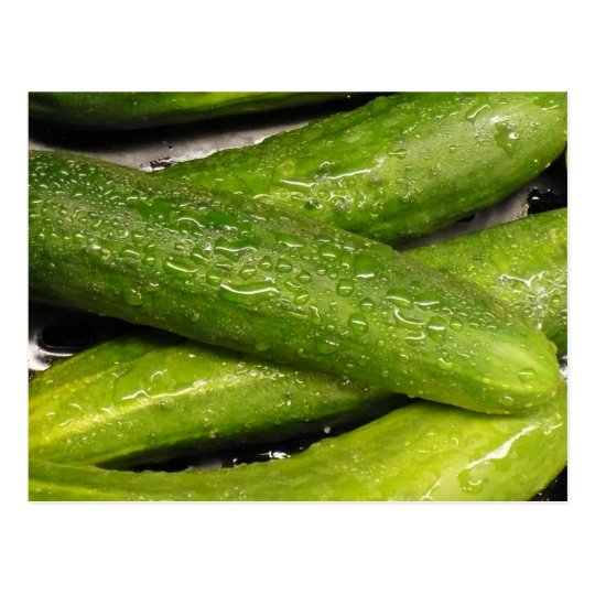cool As A cucumber Postcard