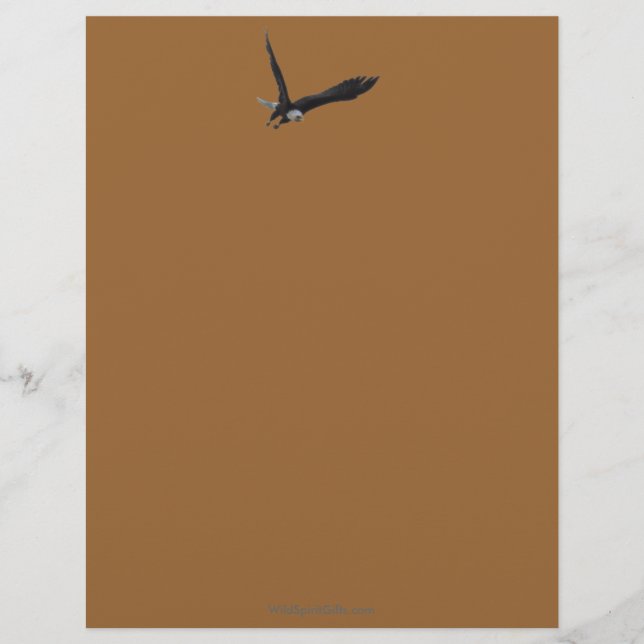 Cool Bald Eagle Wildlife Collection Letterhead (Front)