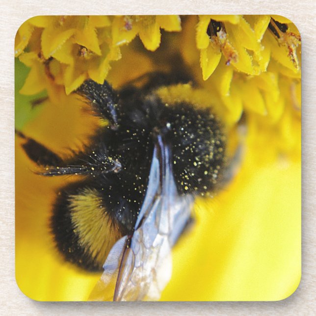 Cool big bumblebee coaster (Front)