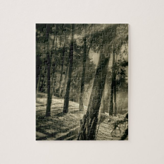 Cool Black and White Forest Sun Rays Nature Gifts Jigsaw Puzzle (Vertical)