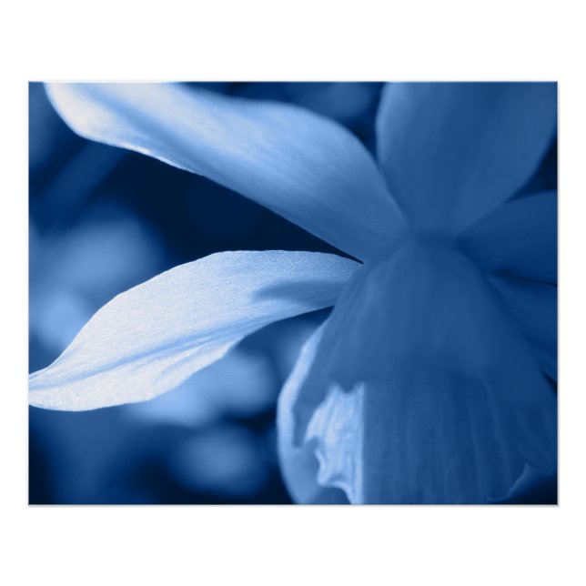 Cool Blue Toned Abstract Floral Poster (Front)