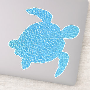 Cool Blue Turtle