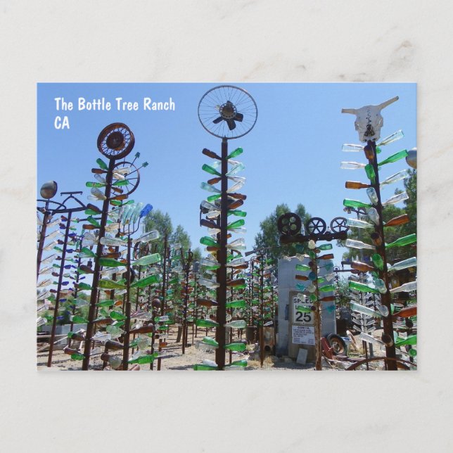 Cool Bottle Tree Ranch Postcard! Postcard (Front)