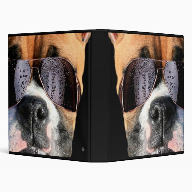 Cool boxer dog binder (Background)
