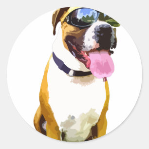 Cool Boxer Dog Classic Round Sticker