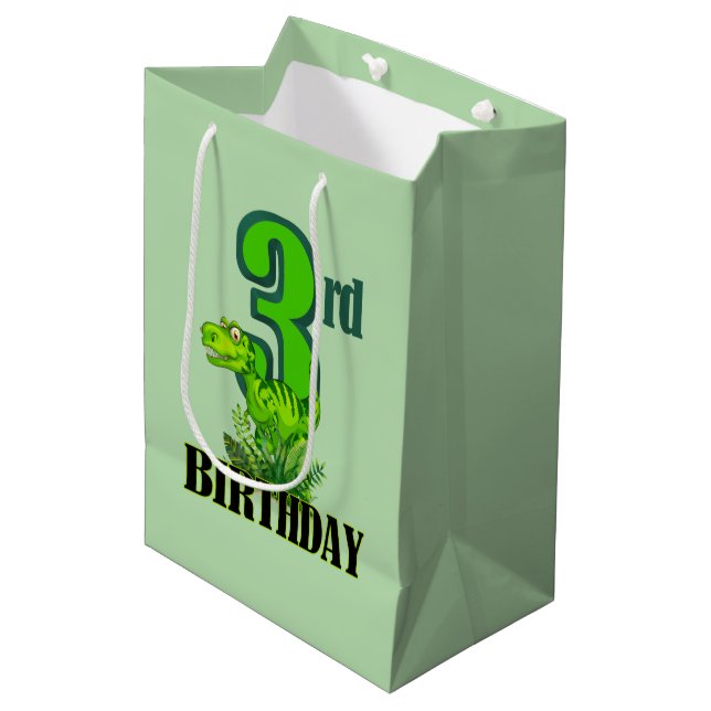 Cool boys dinosaur party 3rd medium gift bag (Front Angled)